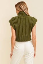 Brinley turtleneck sweater vest