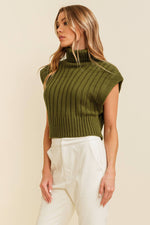 Brinley turtleneck sweater vest