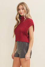 Brinley turtleneck sweater vest