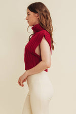 Brinley turtleneck sweater vest