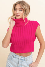 Brinley turtleneck sweater vest