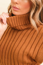 Brinley turtleneck sweater vest